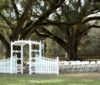 Albany Plantation
