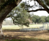 New Orleans Weddings