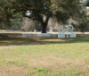 Albany Plantation
