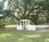 Albany Plantation