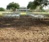 Albany Plantation