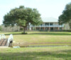 Albany Plantation