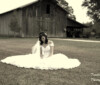 Weddings Hammond la