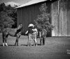 Louisiana vintage venues