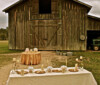 Hammond Wedding Tips