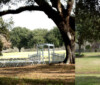 Louisiana Photo Shoots
