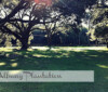 Louisiana Wedding Venues