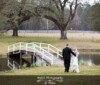 Louisiana Plantations