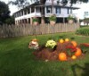 Louisiana Wedding Ideas